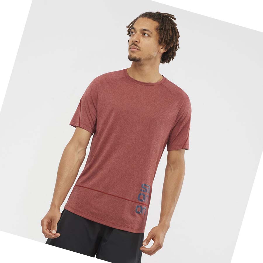 Camiseta Salomon CROSS RUN GRAPHIC Hombre Rojos | MX 3225MQZ